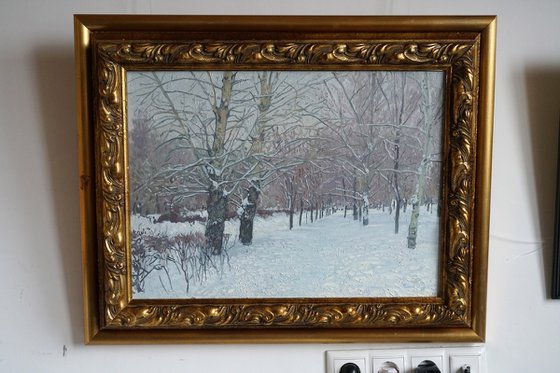 Snow-covered boulevard in Maryino