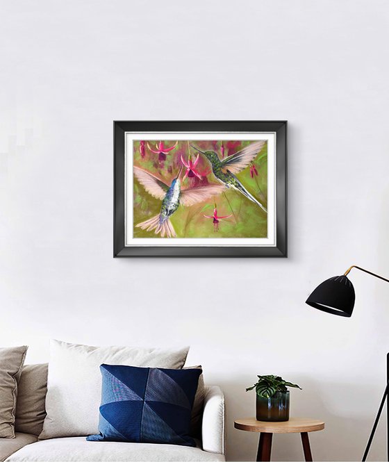 Colibri in flight. Flying