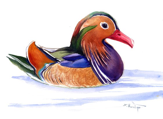 Mandarine Duck