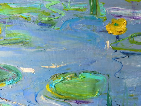 Water lilies