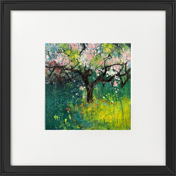Orchard Series - Spring blossom