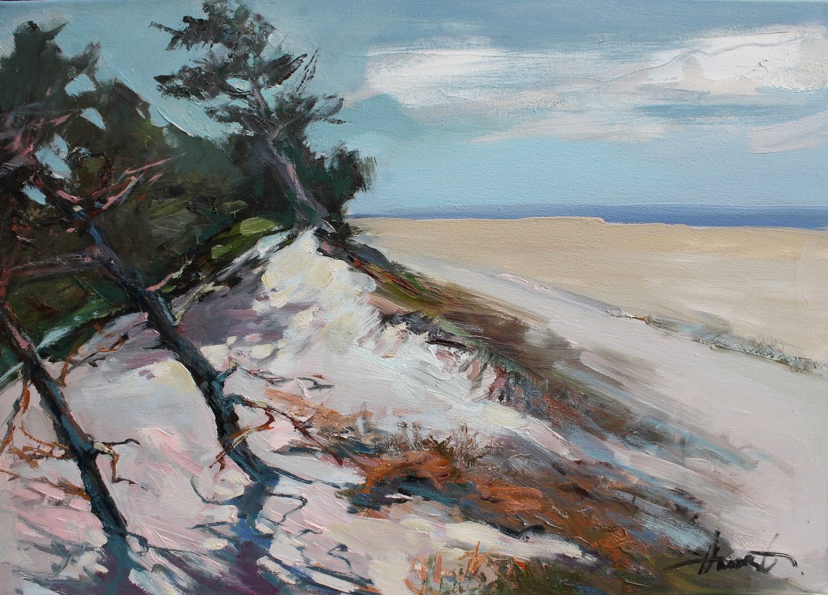 Baltic pines by Henadzy Havartsou