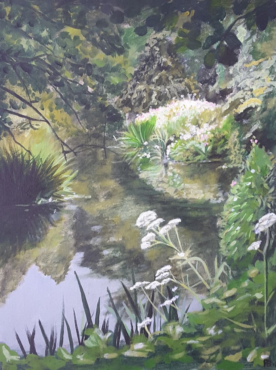 Quiet pond by Piers Braybrooke