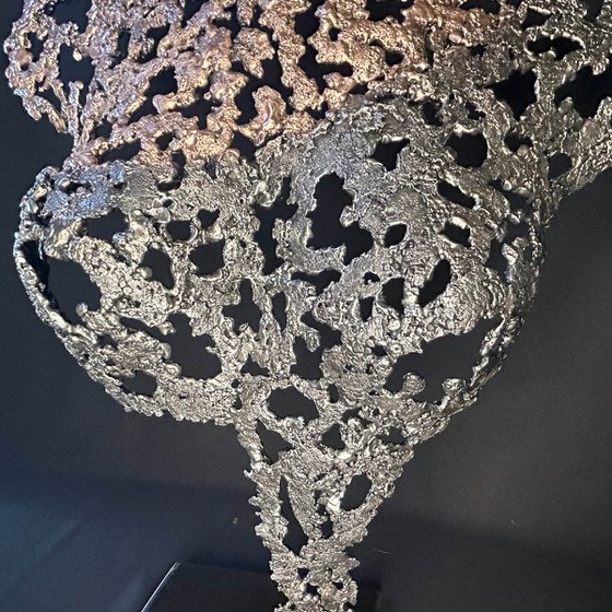 Belisama Sacred Andalusian