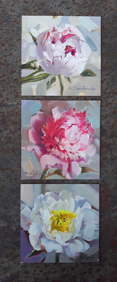 Peonies by Nataly Derevyanko