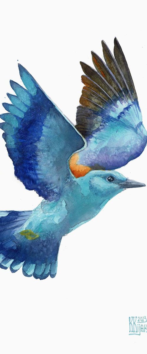 European roller by Karolina Kijak