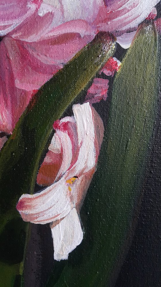 Hyacinth spring art