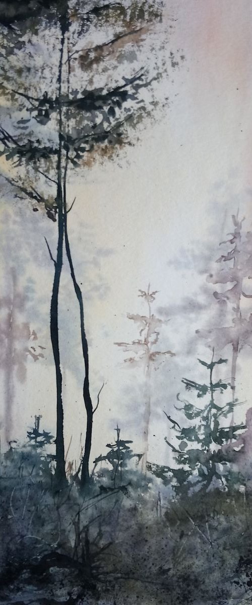 Forest by Aneta Gajos
