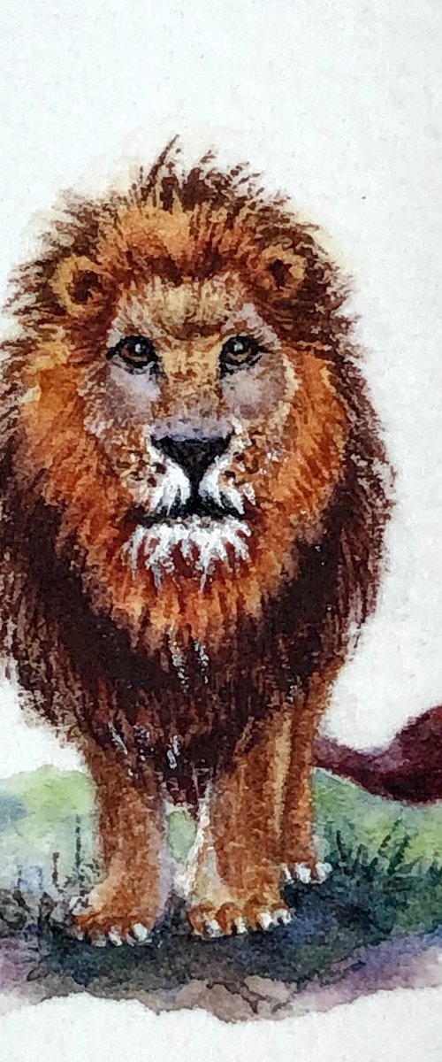 Lion miniature painting by Alina Karpova