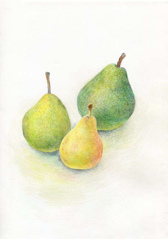 Three pears colored pencils still life illustration