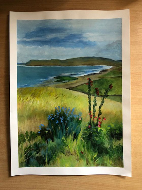 Seaside Landscape