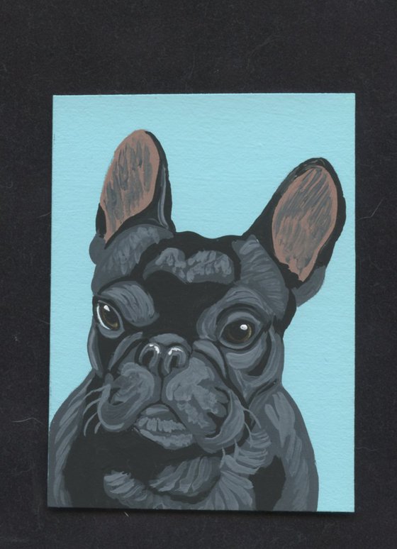 Black French Bulldog