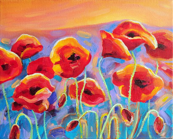 Quiet melody of dawn. Poppies meadow
