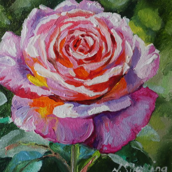 Rose Small Art Framed