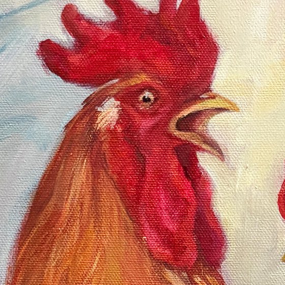 Rooster Banter