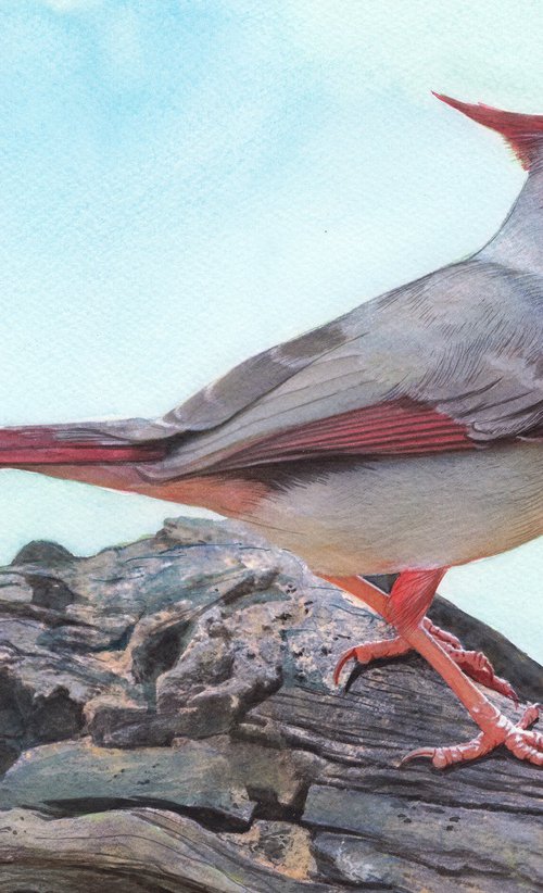 PARROT - BIRD LXXVIII by REME Jr.