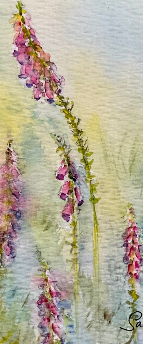 In the foxglove dell by Samantha Adams