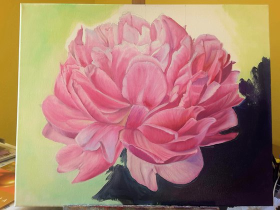 Peony n.2