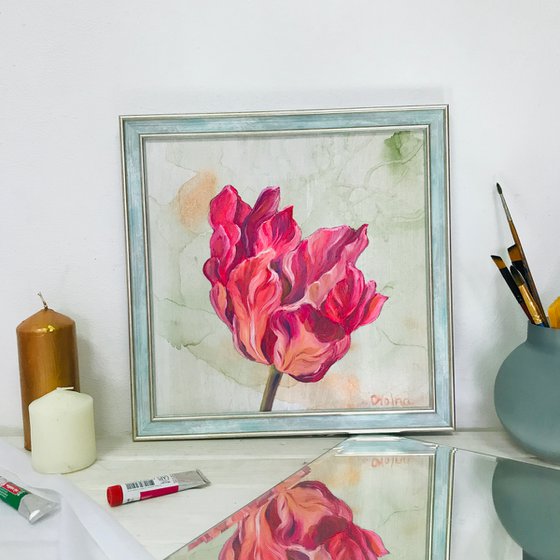 Framed Pink Tulip