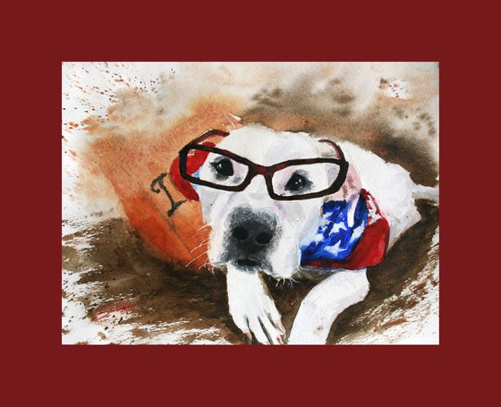 Pet portrait III. American bulldog... /  ORIGINAL PAINTING