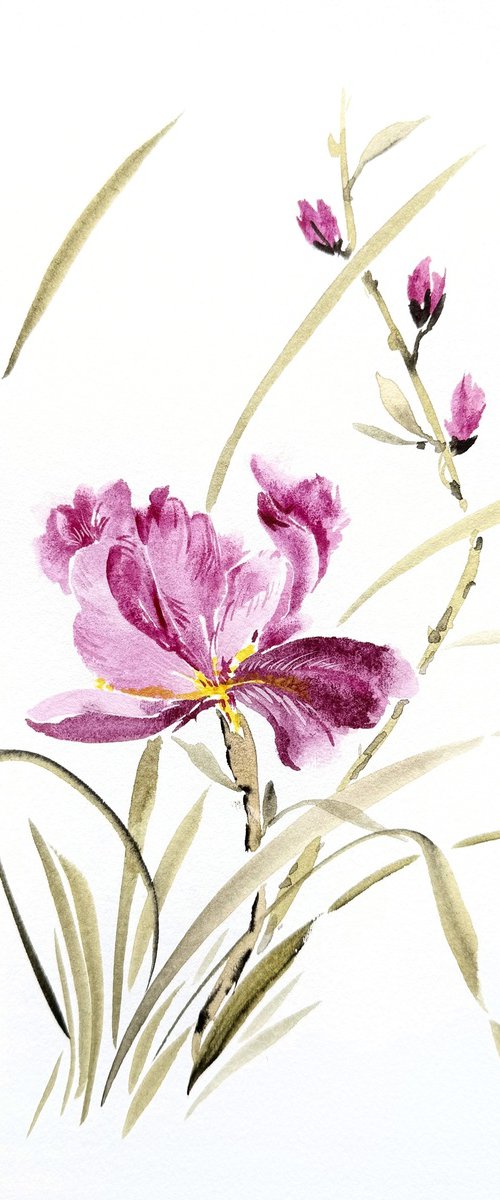 Whispers of the Iris by Hai Doan