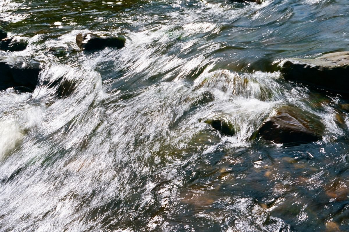 Organic Abstract Photograph By Justice Hyde, 36 X 24", Water 6 - Unmounted, Original Artwork