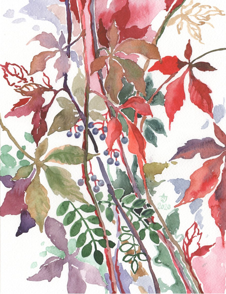 All autumn colors - wild wine by Jolanta Czarnecka
