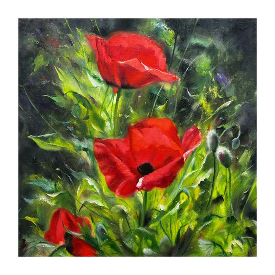 Poppies