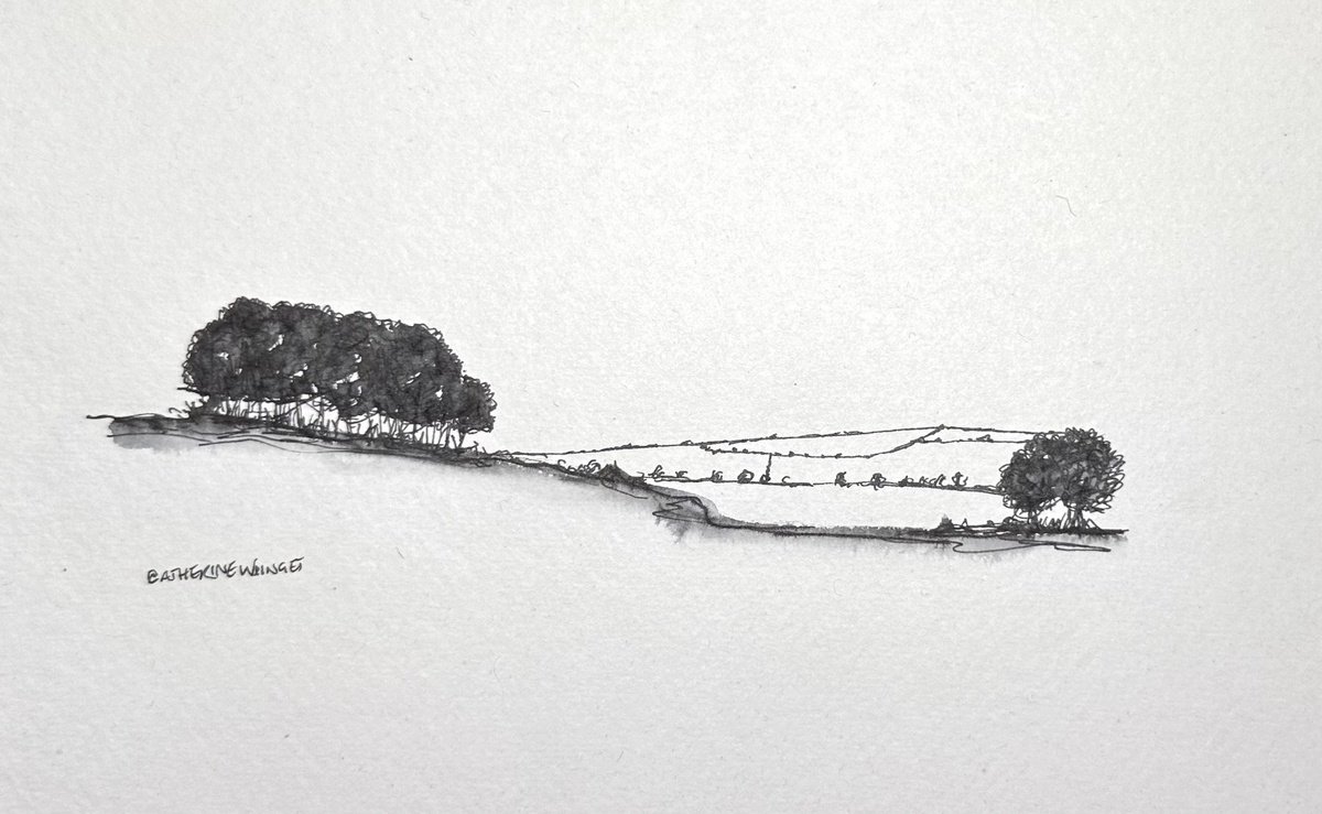 Landscape Ink Drawing By Catherine Winget, 9 X 8, Trees In Pen And Ink - Norfolk Landscape English Countryside, Artfinder