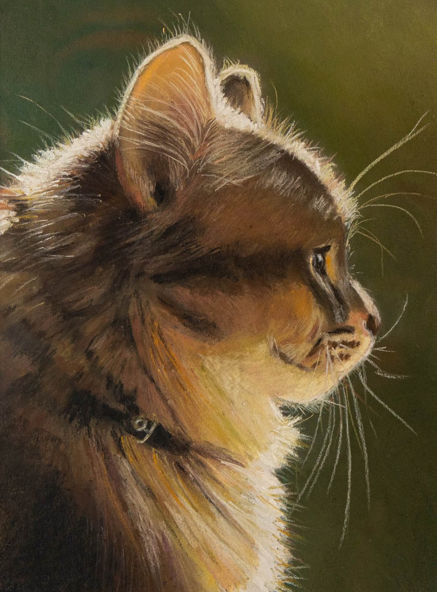 Portrait of a cat. The noble lady. by Catherine Varadi