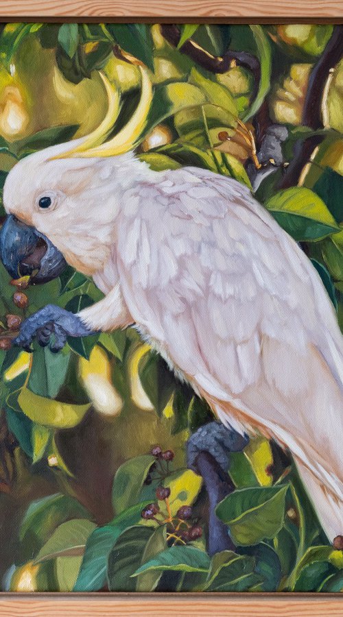 Breakfast in the canopy by Eva Chen