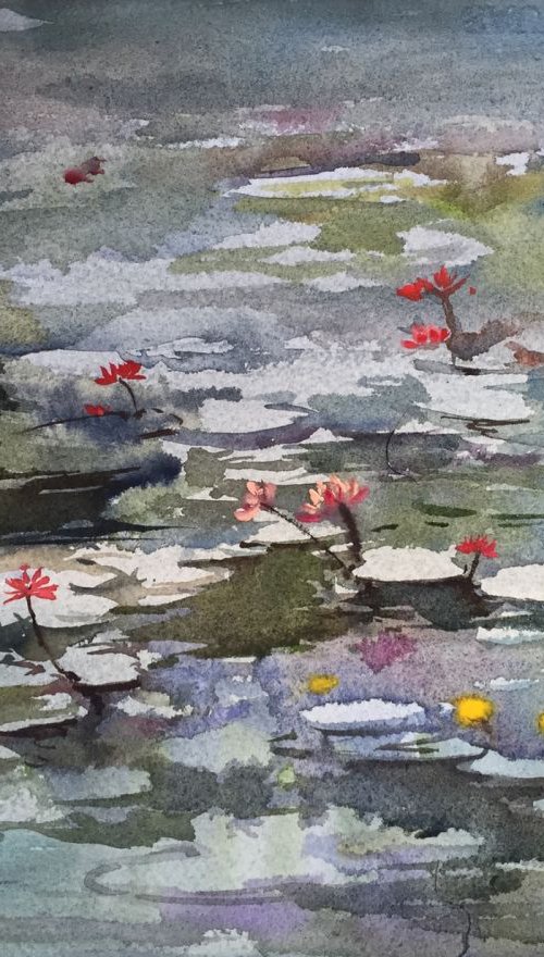 Lotus Pool by Jing Chen