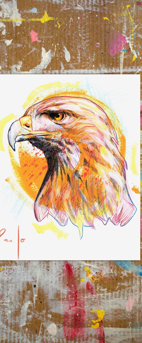 Golden eagle by Paul Ward