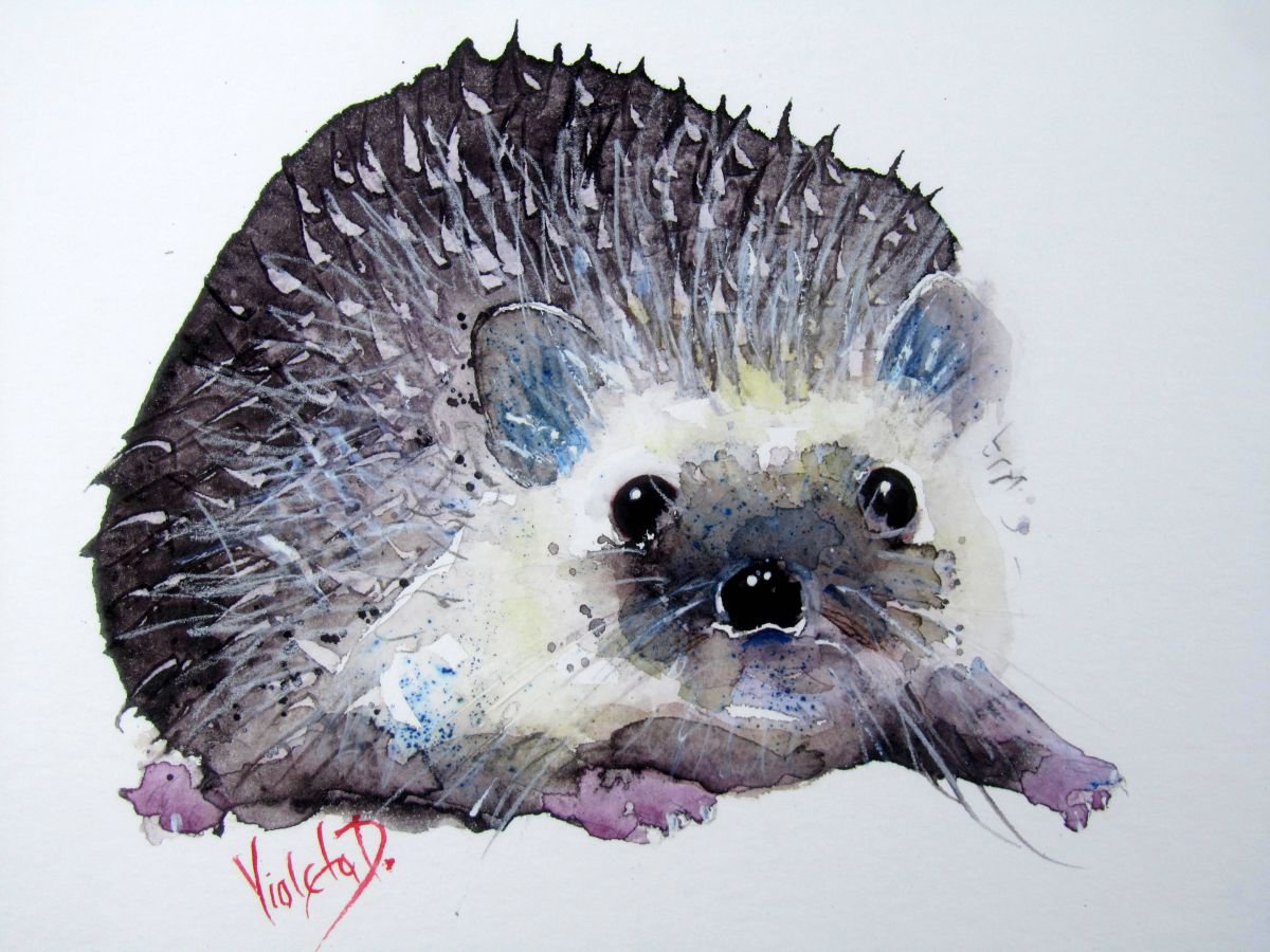 Mr Hedgehog by Violeta Damjanovic-Behrendt