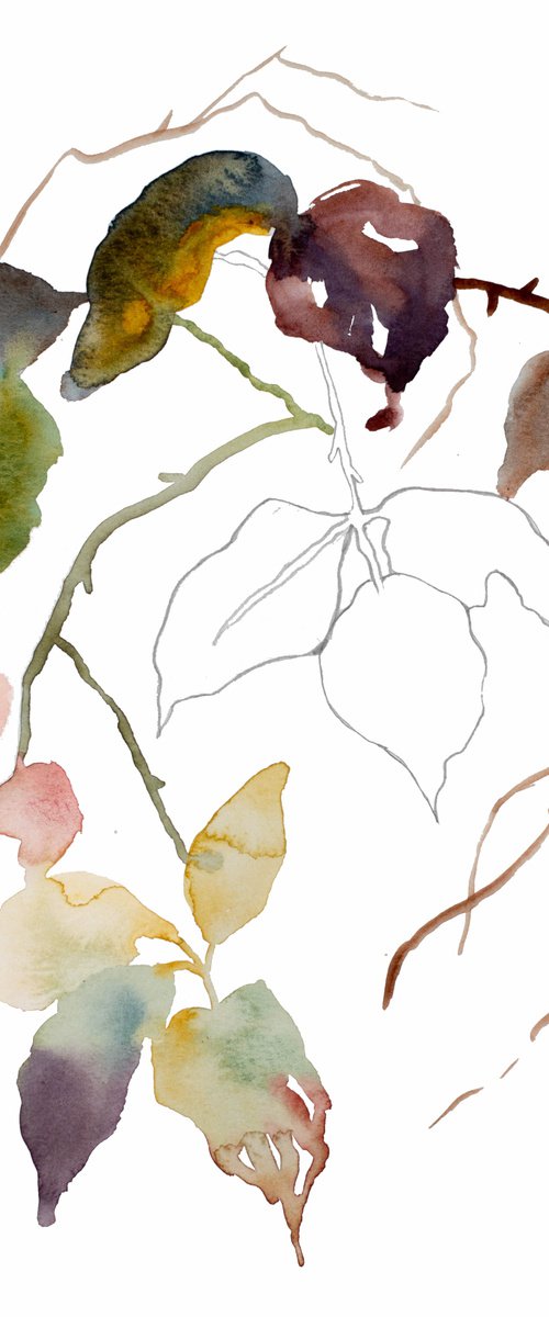 The Woods No. 128 by Elizabeth Becker