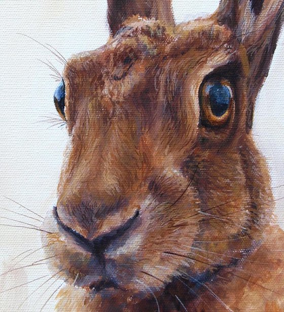 March Hare