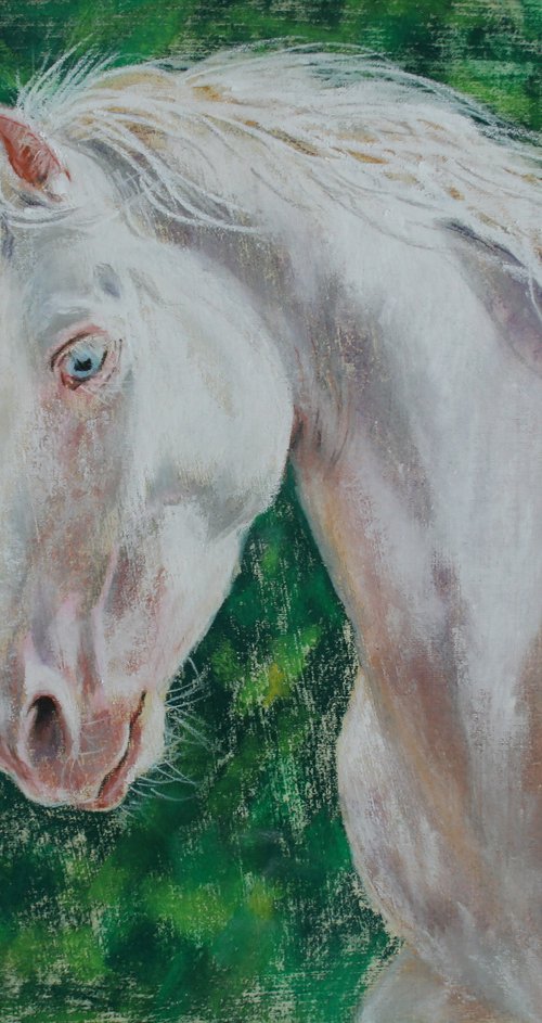 HORSE... PORTRAIT III /  ORIGINAL PAINTING by Salana Art Gallery