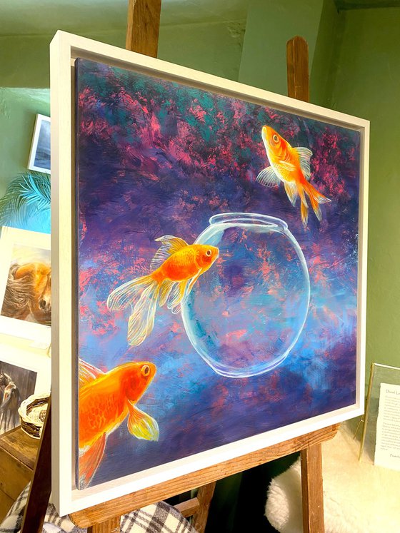 Goldfish LVI