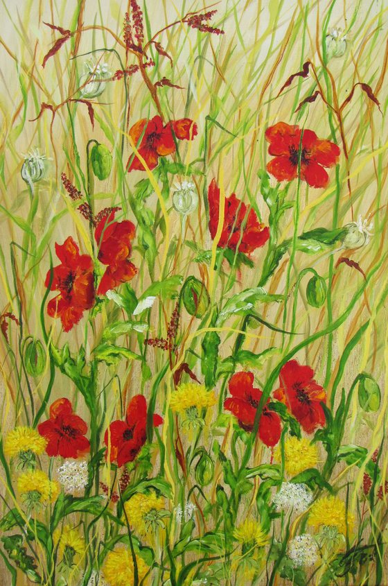 Poppies and Dandelions