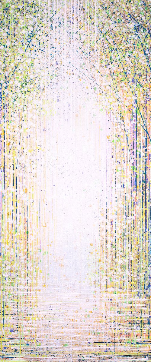 Sparkling Light In The forest by Marc Todd