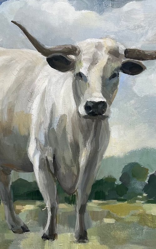 White Longhorn Cow by Silvia  Vassileva