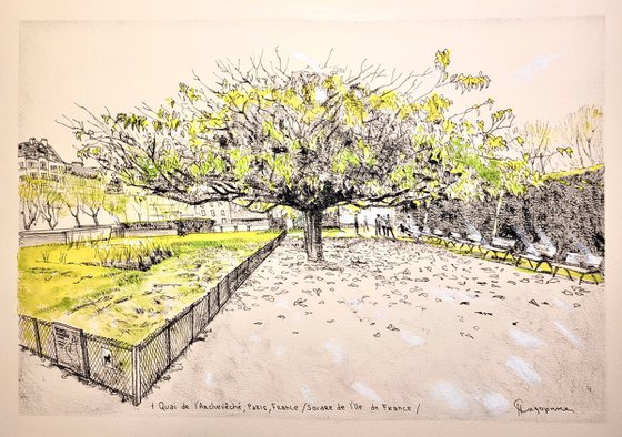Tree,Square de l'Île de France