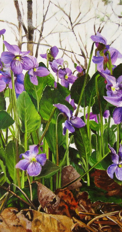 Sweet Violets on Forest Floor by Natalia Shaykina