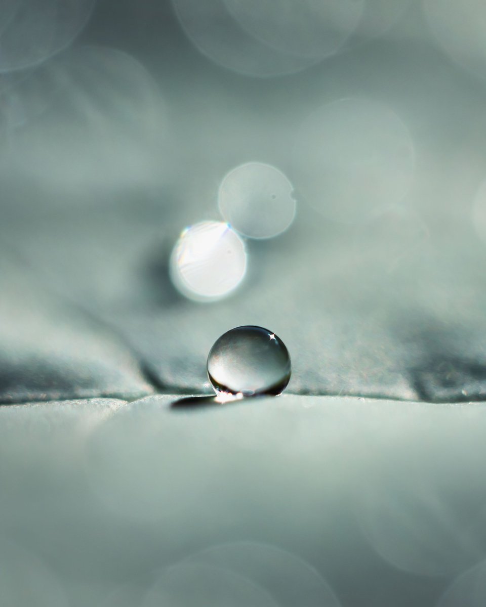 Organic Abstract Photograph By Inna Etuvgi, 12 X 16, Broccoli Dew - Matted, Original Artwork