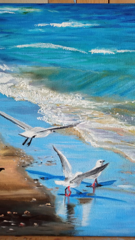 Seagulls at Beach. The Skyand the Sea. Seacost