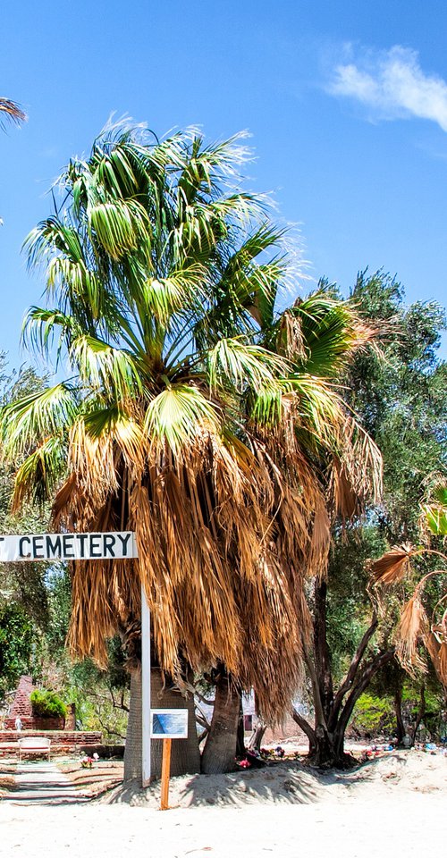 PET CEMETERY 2 Palm Springs CA by William Dey