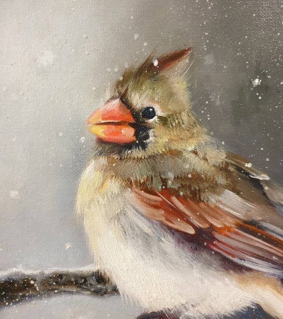 "Snow is falling.  " Cardinal of virgin   birds 2021