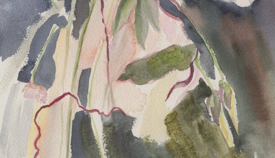 Evening flowers