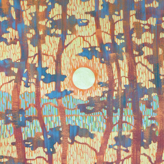 Sunset Between Blue Pines