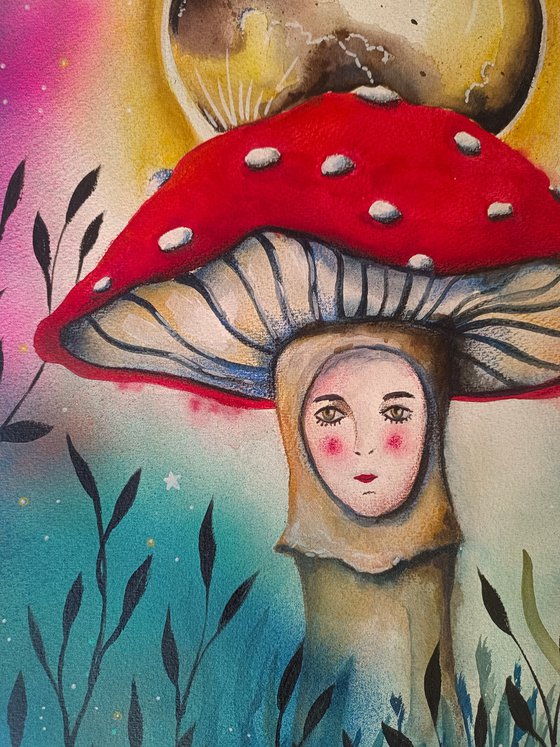 When the Forest Sleeps